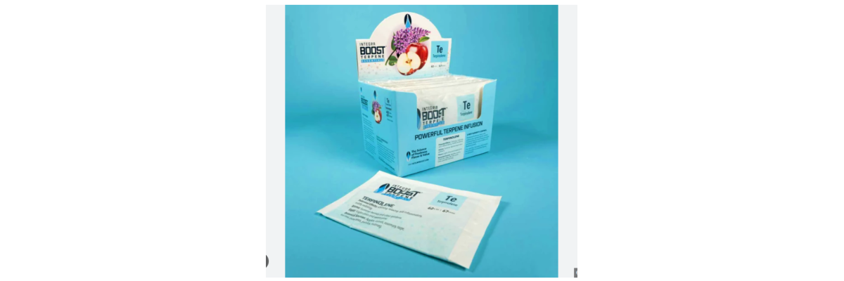 Basilikum räuchern: Wie das Königskraut deinen Fokus schärft - Basilikum räuchern: Wirkung, Fokus &amp; Anwendung | Ritual Herbs